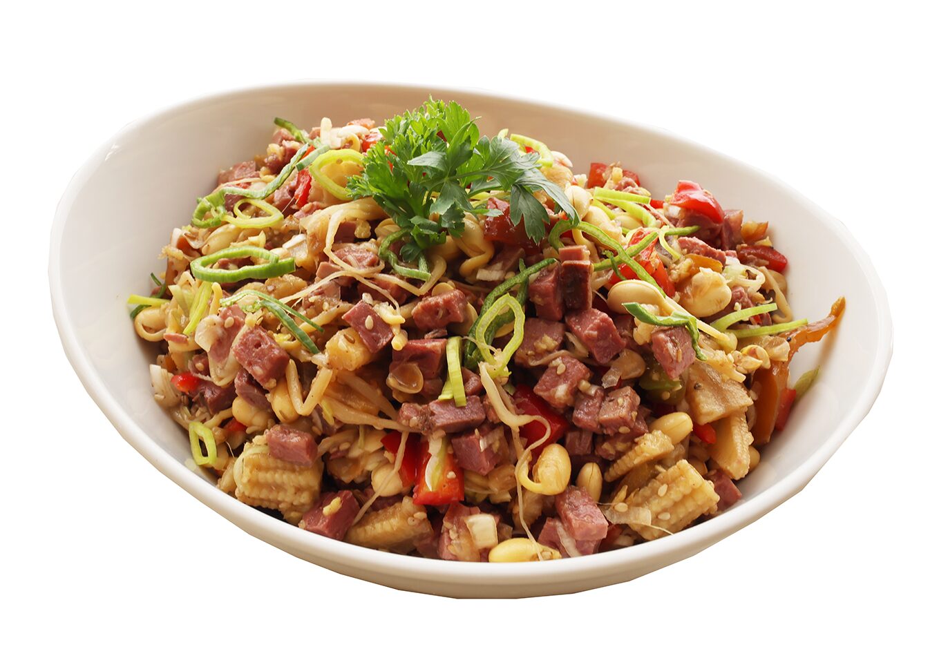 Asiatischer Rindfleischsalat von Vorwerk Podemus