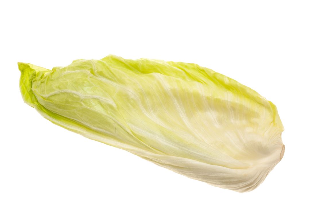 Salat_Zuckerhut_Vorwerk_Podemus